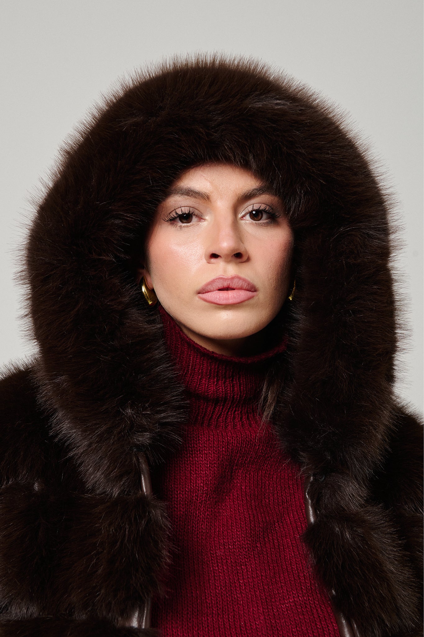 Brown Hood Horizontal Fox