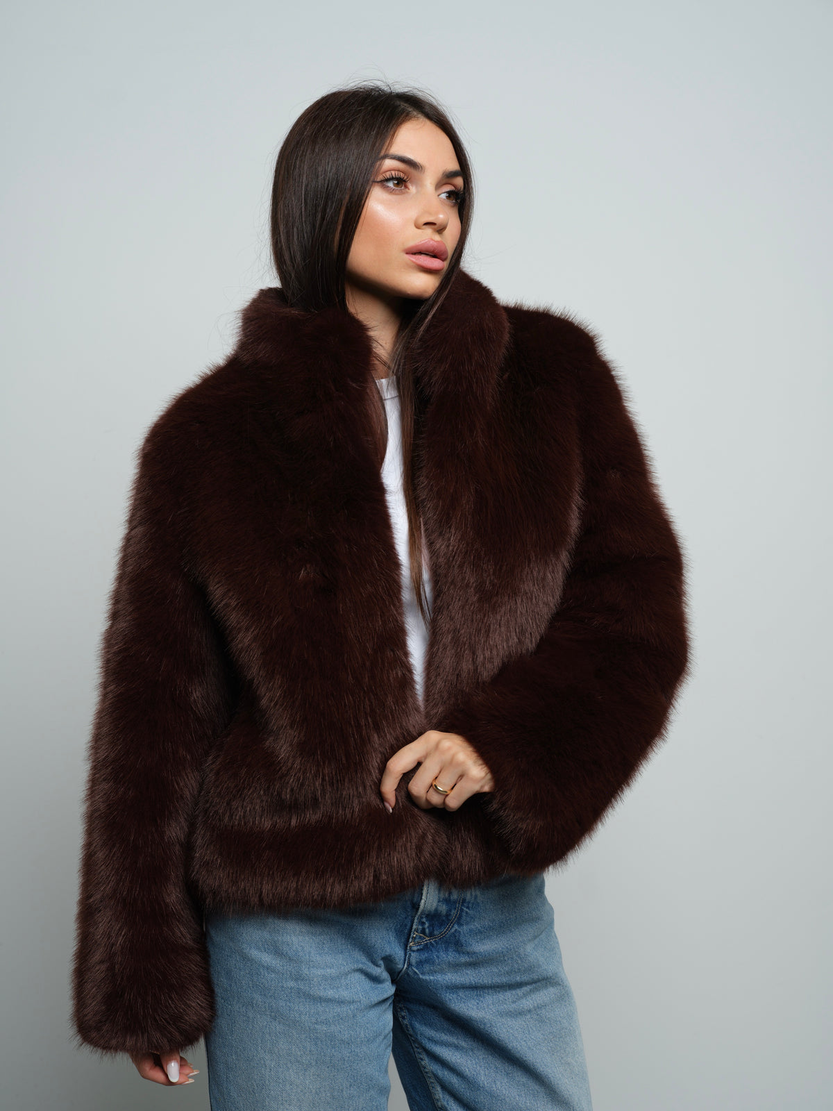 Brown Fox