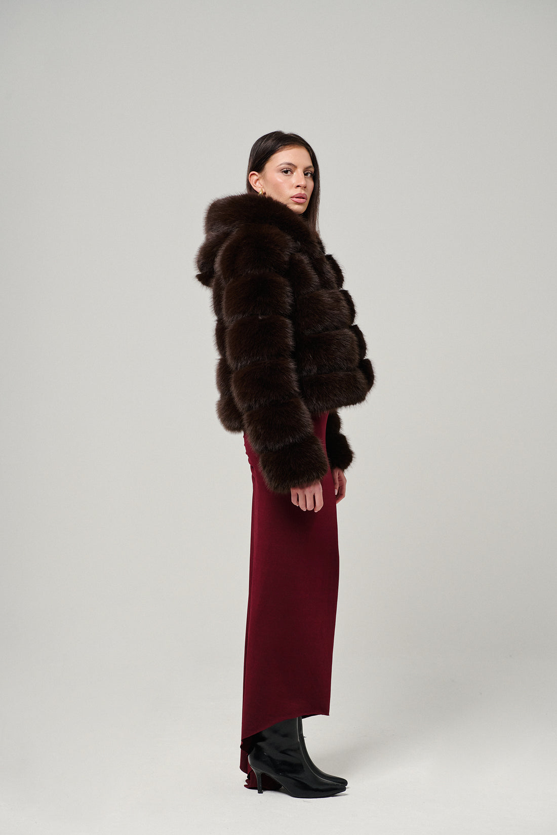 Brown Hood Horizontal Fox