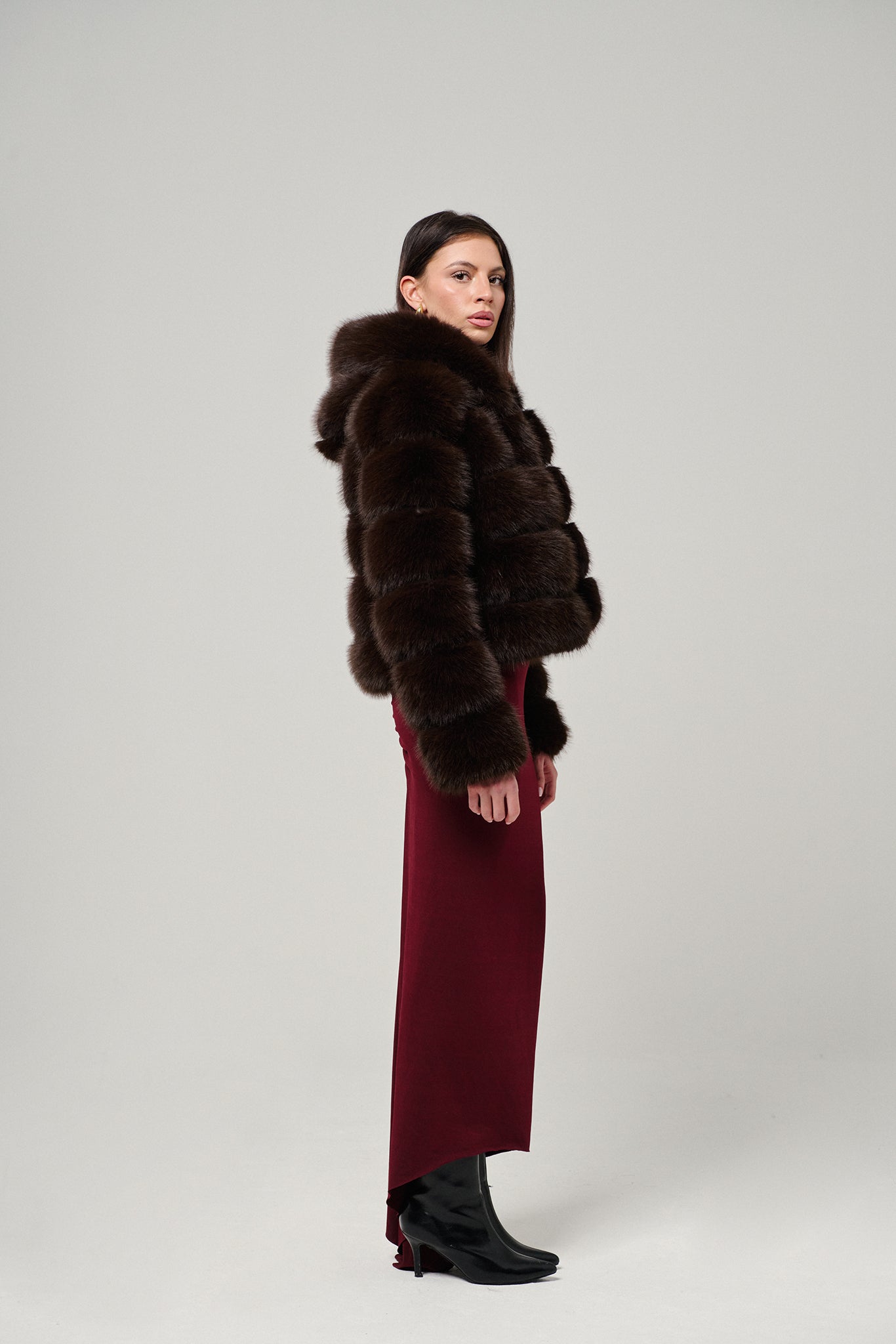 Brown Hood Horizontal Fox