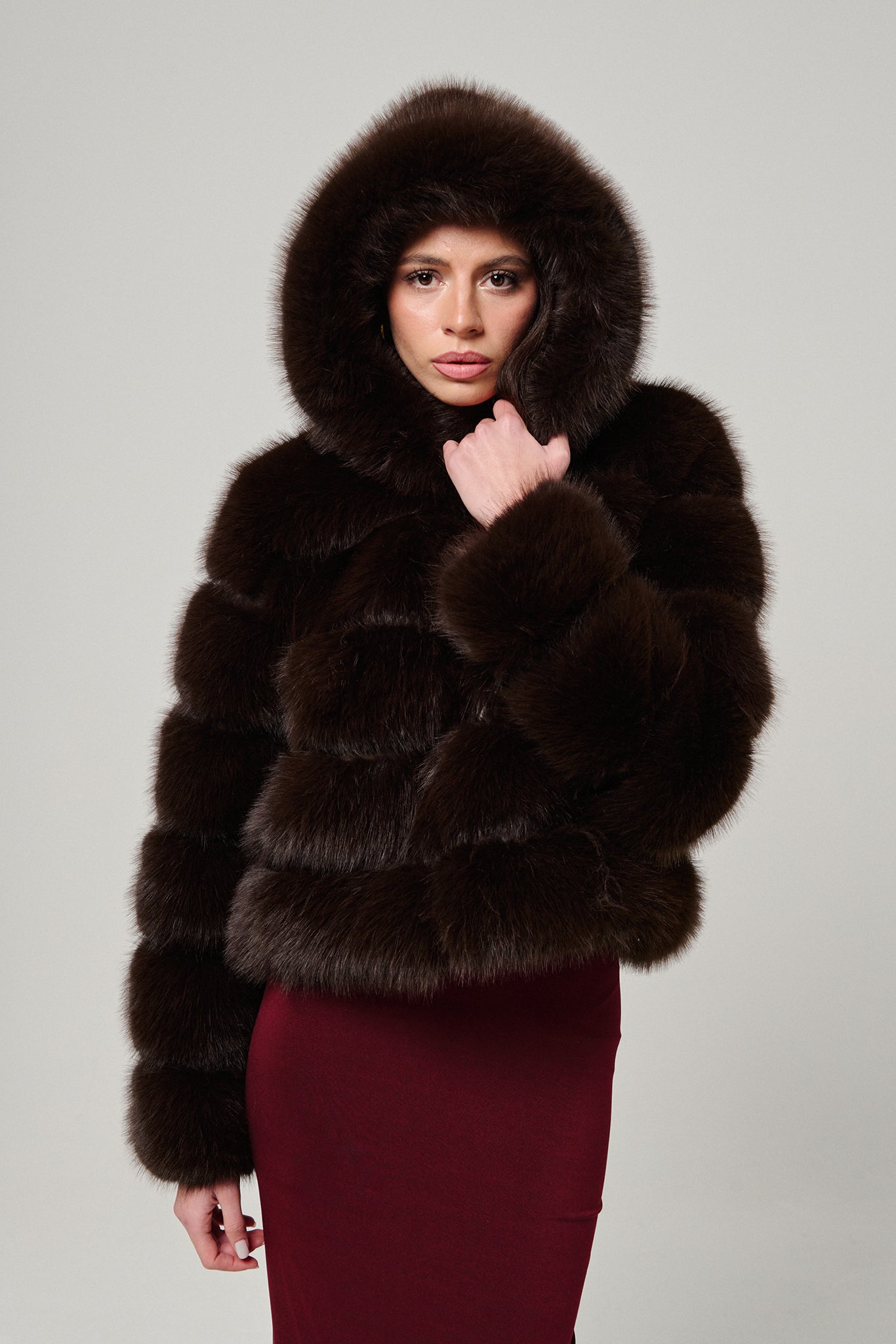 Brown Hood Horizontal Fox