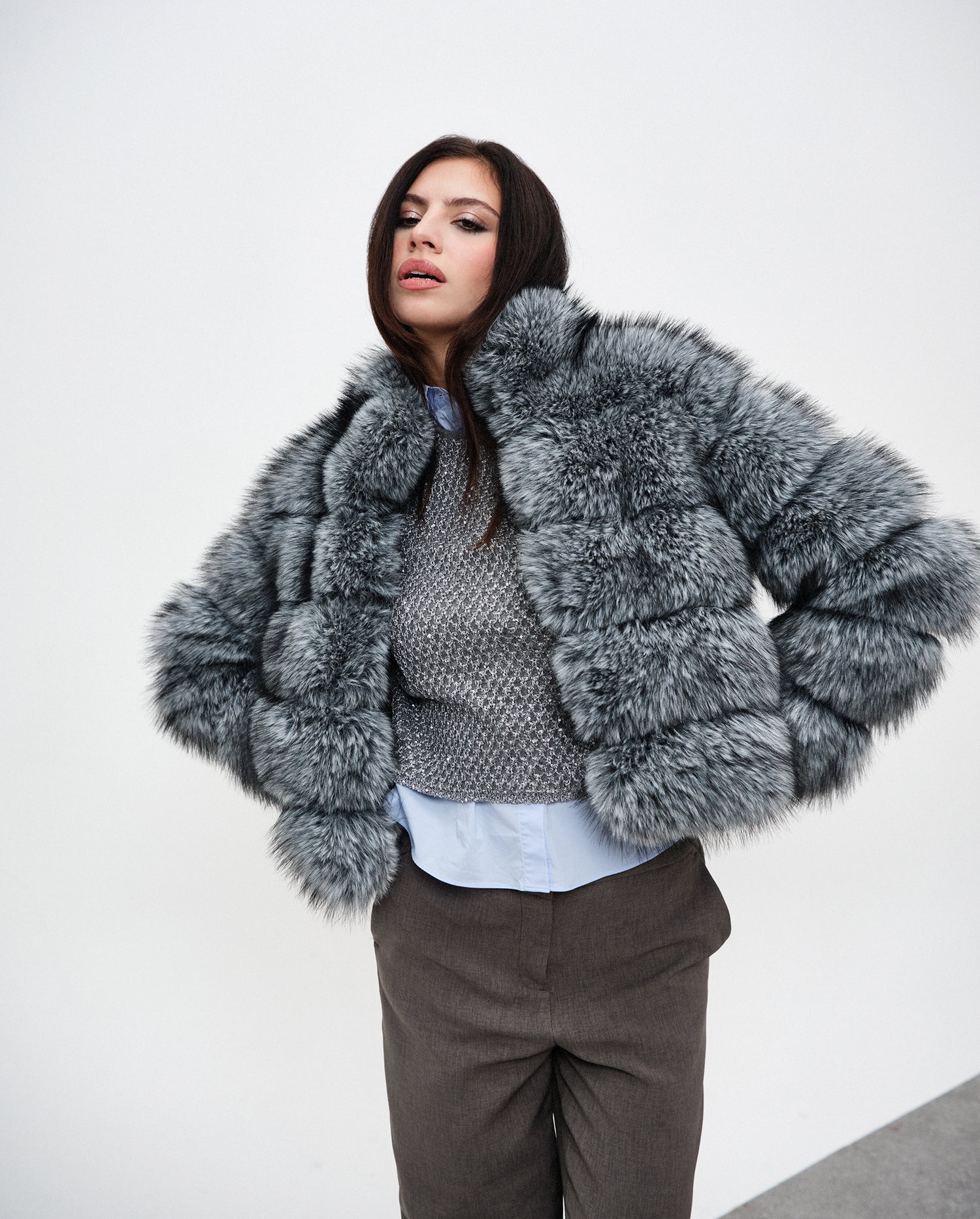 Silver Frost Horizontal Fox