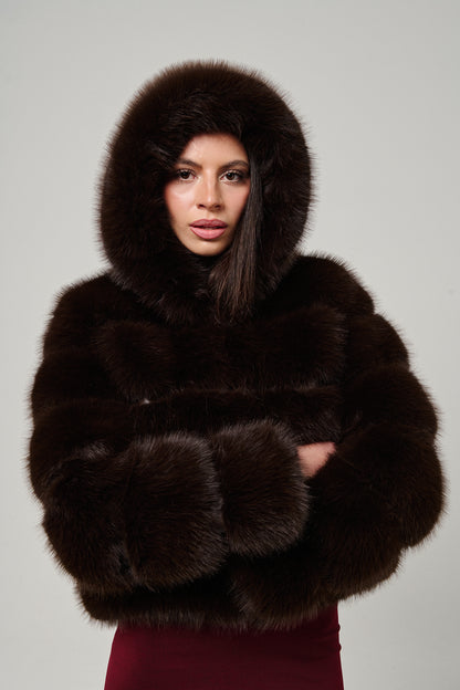 Brown Hood Horizontal Fox