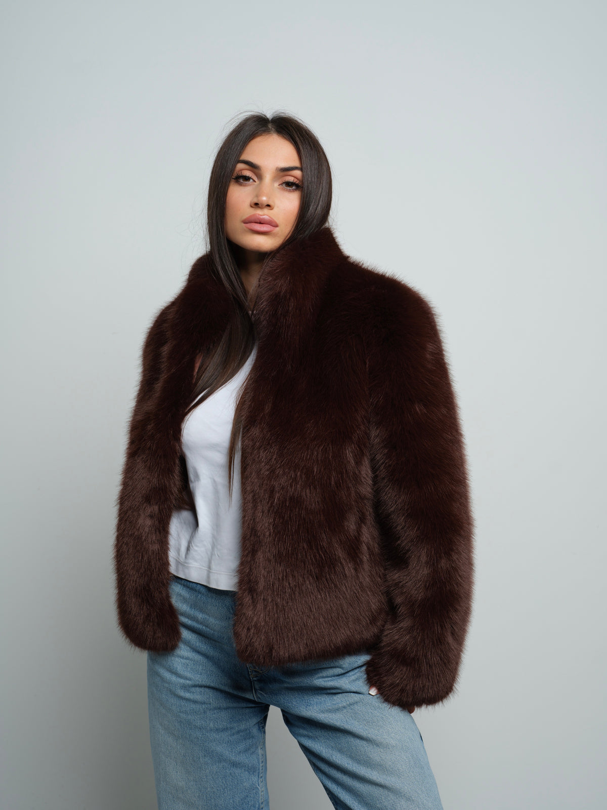 Brown Fox