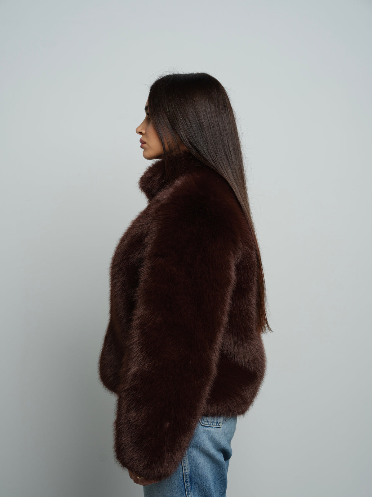 Brown Fox
