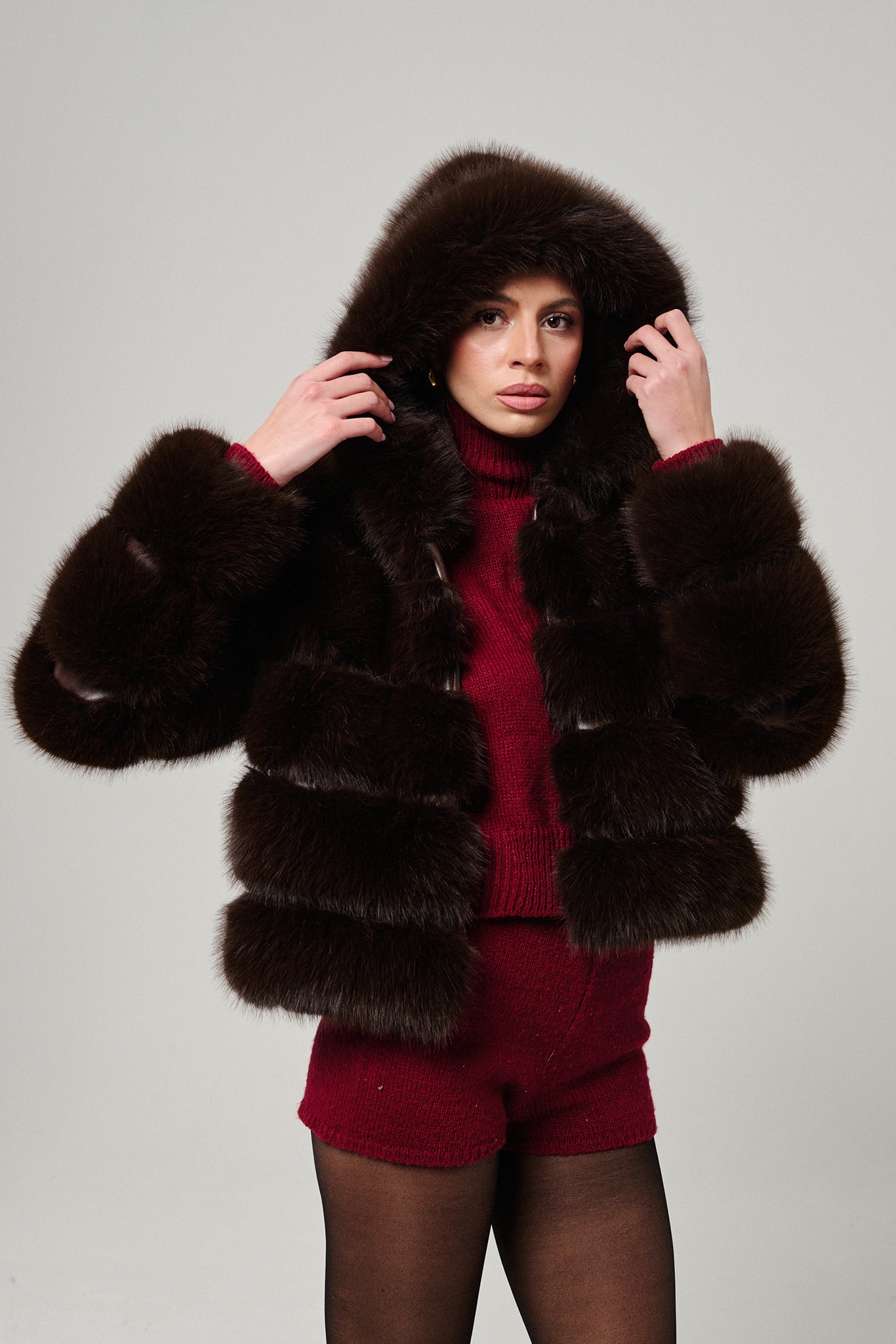 Brown Hood Horizontal Fox