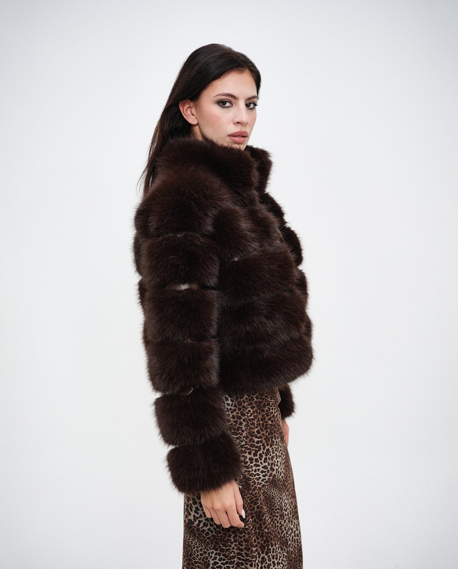 Brown Horizontal Fox