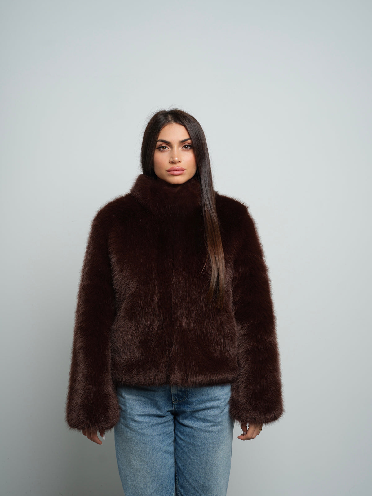 Brown Fox